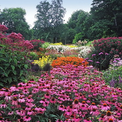 Пазл: Сады Брессингхем (The Bressingham Gardens)
