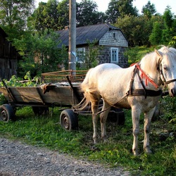 Пазл: Перед Троицей...