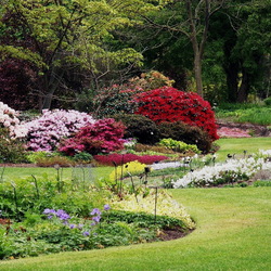 Пазл: Сады Брессингхем (The Bressingham Gardens)