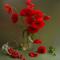 Пазл: Привет из июля