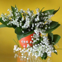 Пазл: Ландыши, ландыши...