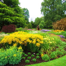 Пазл: Сады Брессингхем (The Bressingham Gardens)