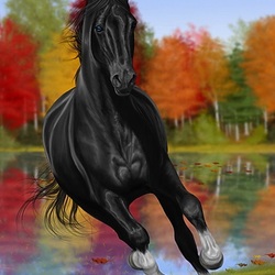 Пазл: Вороной