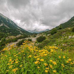Пазл: Солнечный день