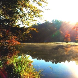 Пазл: Утро на реке