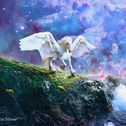 Пазл: Белый пегас