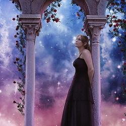 Пазл: Когда цветут розы