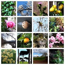 Пазл: В мире природы