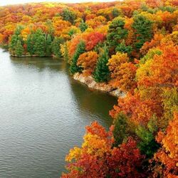 Пазл: Есть в осени первоначальной