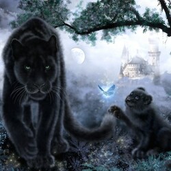 Пазл: Пантеры