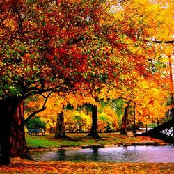 Пазл: Засентябрило