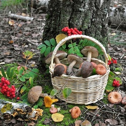 Пазл: Тихая охота