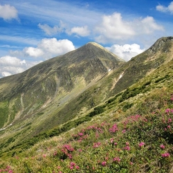 Пазл: Атласные вершины