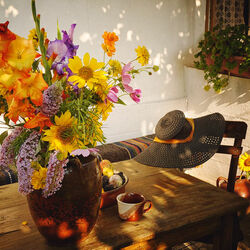 Пазл: Солнечно дворовое