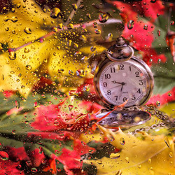 Пазл: Осенний дождь