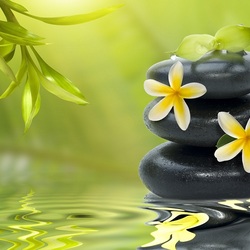 Пазл: Зелень