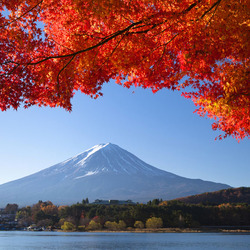 Пазл: Фудзияма осенью