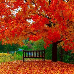 Пазл: Осень