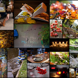 Пазл: Осень