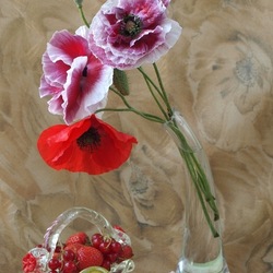 Пазл: Садовые маки