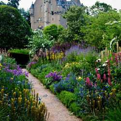 Пазл: Замок Кратес