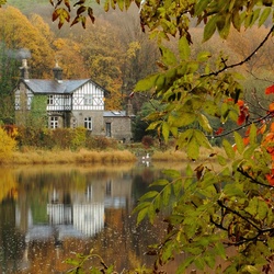 Пазл: После дождя