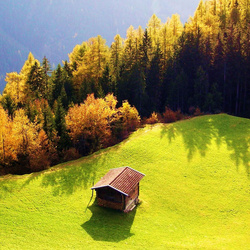 Пазл: На солнечной полянке