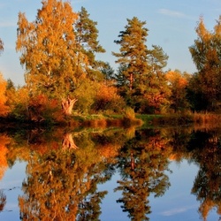 Пазл: Зеркало осени