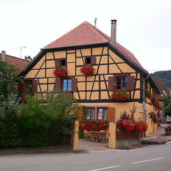 Пазл: Юнавир