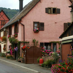 Пазл: Юнавир