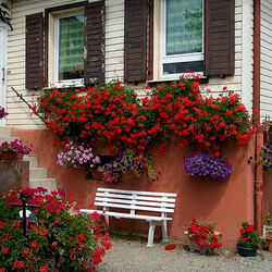 Пазл: Юнавир. Франция