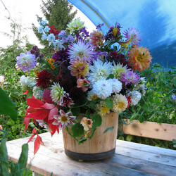 Пазл: Шикарный букет