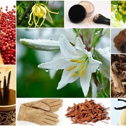 Пазл: Специи