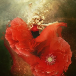 Пазл: Мечты мака