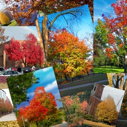 Пазл: Осень