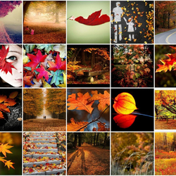 Пазл: Осень