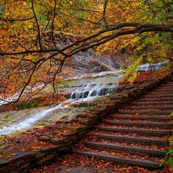 Пазл: Осенний парк