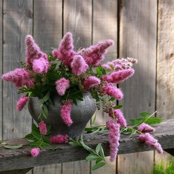 Пазл: Просто так