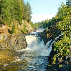 Пазл: Кивач