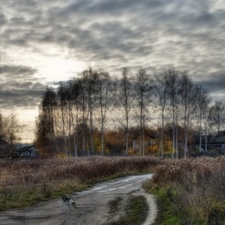 Пазл: Обычный серый день