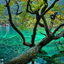 Пазл: Озеро в Национальном парке Цзючжайгоу, Китай