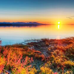 Пазл: Улетают птицы, улетают