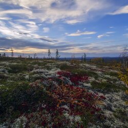 Пазл: Осень на Кольском полуострове