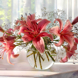 Пазл: Лилии