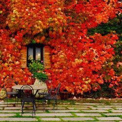 Пазл: Осеннее окно