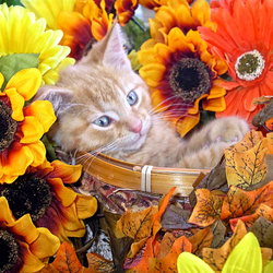 Пазл: Осень