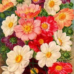 Пазл: Открытка