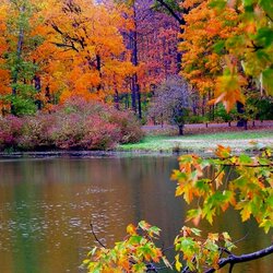 Пазл: Наряды осени