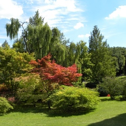 Пазл: На солнечной полянке