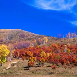 Пазл: Горный пейзаж